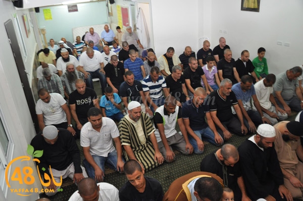 mohamed elfatekh3 (14).JPG